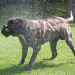 photo8