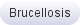 Brucellosis Brucellosis